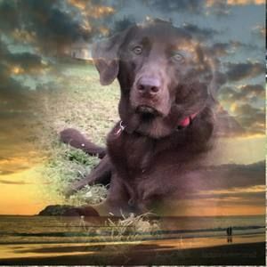 Meet your Posher, Danny